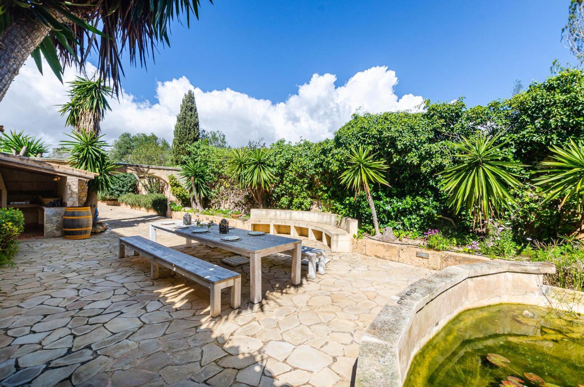 Yourhouse Calimero